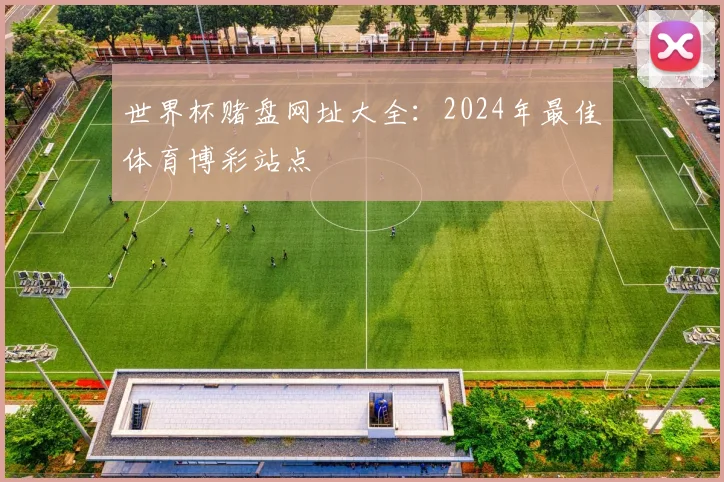 世界杯赌盘网址大全：2024年最佳体育博彩站点