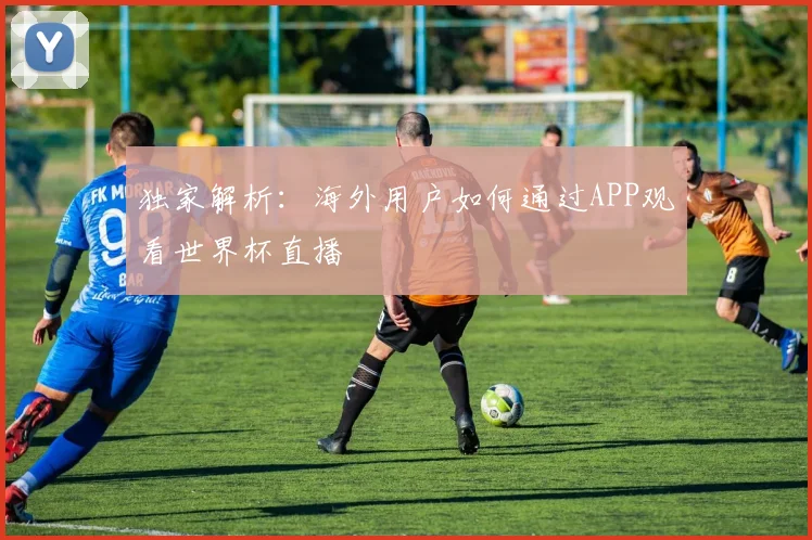 独家解析：海外用户如何通过APP观看世界杯直播