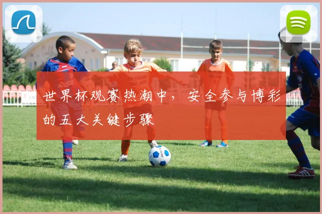 世界杯观赛热潮中，安全参与博彩的五大关键步骤