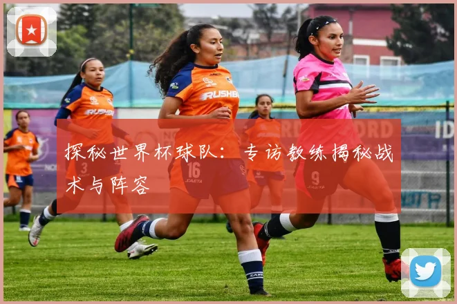 探秘世界杯球队：专访教练揭秘战术与阵容