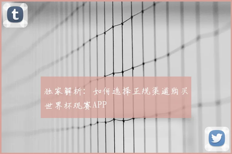 独家解析：如何选择正规渠道购买世界杯观赛APP
